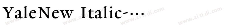 YaleNew Italic字体转换
